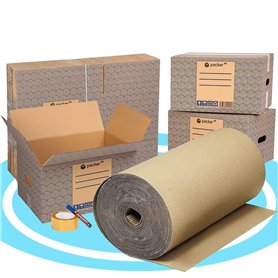 packer PRO Pack Déménagement Eco