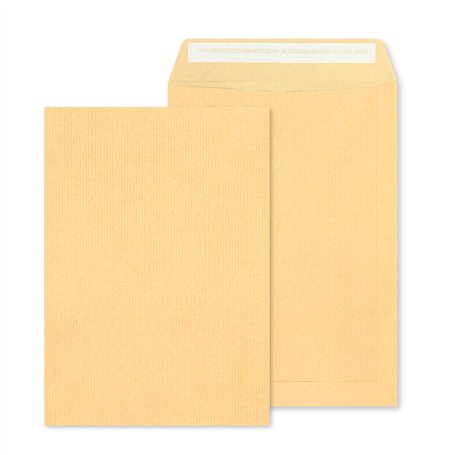 RAYLU PAPER - Lot de 10 grandes enveloppes kraft en papier avec fermeture auto-adhésive pour l'envoi de documents