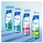 Head & Shoulders Pure Intense Purification En Douceur Shampooing Antipelliculaire 2x250 ml, Aux Agrumes, Pour Cuir Chevelu Gras,