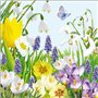 Ambiente - Serviettes - Printemps - Printemps / Fleurs / Papillon