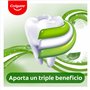 Colgate Lot de 12 dentifrices triple action Xtra Fresh 75 ml, dentifrice avec fluor, protection anti-caries, aide à garder les d