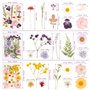 Vraies Fleurs Pressées Séchées 66 Pièces,SUPRROW Fleur Sechees Naturel pour Résine pour Bricolage Résine Bijoux Faisant Floraux