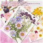 Vraies Fleurs Pressées Séchées 66 Pièces,SUPRROW Fleur Sechees Naturel pour Résine pour Bricolage Résine Bijoux Faisant Floraux