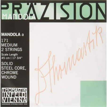 Thomastik Corde La 171 moyen (1 paire) filé plat sur acier chrome poli pour Mandola Präzision/Précision jeu 174 moyen