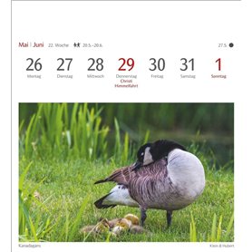 ressort de mémoire pour F-I-A-T Ducato 2006- Citr-O-ë-N