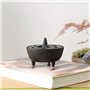 Emoshayoga Brûle-encens en Fonte, Bruleur Encens Charbon Fonte de Lotus en Forme de Porte-Bâton D'encens pour la décoration de l