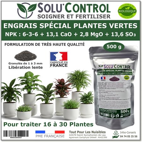 500 g Engrais Spécial Plantes Vertes 6-3-6 - Croissance