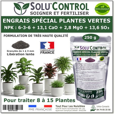 250 g Engrais Spécial Plantes Vertes 6-3-6 - Croissance