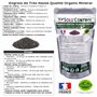 250 g Engrais Spécial Plantes Vertes 6-3-6 - Croissance, Feuillage Dense & Vitalité - Formulation Organo-Minerale - Libération L