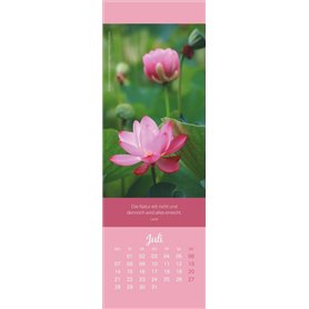 Jours pleins de bonheur Marque-page & calendrier 2025 : petit cadeau avec photos et dictons inspirants et sagesses de vie.Calend