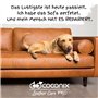 Coconix Kit de Réparation Cuir et Vinyle - Marron & Nuances | Répare déchirures, Trous, Rayures et écaillages sur Meubles, siège