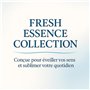 Désodorisant Voiture - Lot 3 x 10 ML - Parfum Voiture Interieur - Sens Bon Voiture - Deodorant Voiture Interieur - Diffuseur Voi