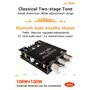 WANGCL Carte d'amplificateur Bluetooth HiFi stéréo 2.0 TPA3116D2-2 x 100 W - Module d'amplificateur Audio - Contrôle des Basses 