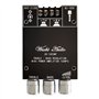 WANGCL ZK-1002MT Lot de 2 amplificateurs de caisson de basses Bluetooth 5.0 100 W haute puissance audio stéréo amplificateurs AU