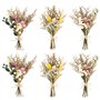 MINISOISO 6 Pièces Petit Bouquet Fleurs Séchées