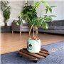 Lixiluxia Porte Plante a roulettes, Supports de Pots de Fleurs à roulettes, Support Plante Exterieur, Plateau Roulette Plante, S