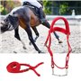 Rouge Réglable Harnais Licol avec Rêne Cheval Mors Coussin Moelleux