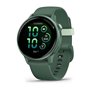 Montre intelligente GARMIN 010-02985-02
