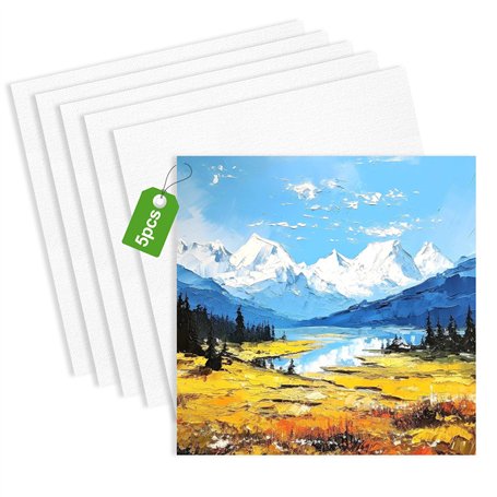 Lot de 5 Toiles à Peindre 20x20cm