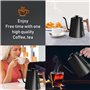 Bouilloire électrique col de cygne avec cafetière et théière en acier inoxydable, contrôle de la température, chauffage rapide, 