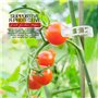 inces de Jardin pour tomates et légumes de Vigne Clipsplant Support