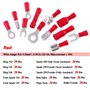 Glarks 540pcs 22-16 / 16-14 / 12-10 Gauge Mixed Quick Disconnect Electrical Insulated Butt Bullet Spade Fork Ring Solderless Cri