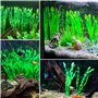 Plantes artificielles d'aquarium,10 Pack Plantes en Plastique décorations pour aquariu,Aquarium Plante Ornement