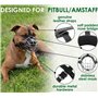 BRONZEDOG Pitbull Muselière pour Chien en métal avec Panier métallique avec Sangles réglables en Cuir pour Grands Chiens (Marron