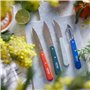 Opinel - Coffret de 4 Couteaux de Cuisine Les Essentiels Art Déco - N°112 Office, N°113 Cranté, N°114 Légumes, N°115 Éplucheur -