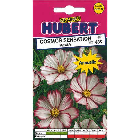 Graines de Cosmos Sensation Picotée - 2 grammes