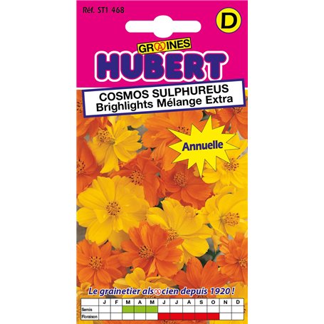 Graines de Cosmos Sulphureus Brighlights Mélange Extra - 2 grammes