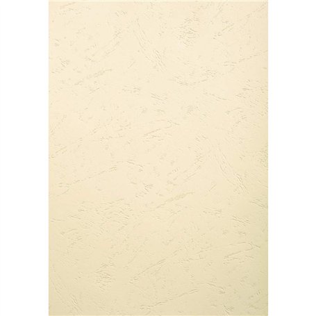 EXACOMPTA Paquet 100 plat de couverture A3 FOREVER