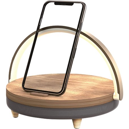 BLAUPUNKT Enceinte Bluetooth puissante - Enceinte Bluetooth Portable - Enceinte Portable - Enceinte étanche - sans Fil - Enceint