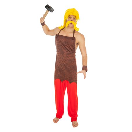 Déguisement Cétautomatix Astérix et Obélix adulte - Coloré - M