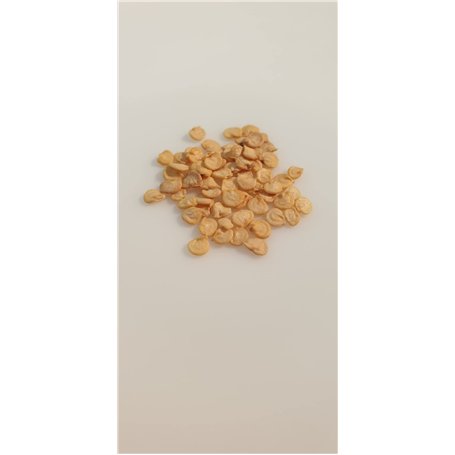 25 graines à semer - Le Grenier d'Abondance - POIVRON Jaune California - Capsicum annuum