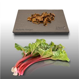 50 graines à semer - Le Grenier d'Abondance - RHUBARBE Paragon - Rheum