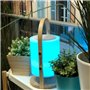 Lampe enceinte bluetooth sans fil - LUMISKY - WOODY PLAY - H37 cm - Poignée bois - LED blanc et multicolore dimmable