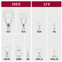 Paulmann Ampoule LED à filament AGL 28695-4,3 W - Clair - 2700 K - Blanc chaud - E27