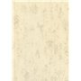 Brunnen Papier universel multi-usages Chamois marbré 80 g/m² Format A4