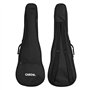 CASCHA Ukulélé Basse, U-Basse en acajou avec cordes Aquila Thundergut, micro, accordeur intégré et Gigbag
