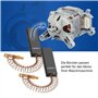 VIOKS Lot de 2 balais de charbon de rechange pour machine à laver Bosch 616505 00616505 00631706 39L224 4,8 mm Pour moteur élect