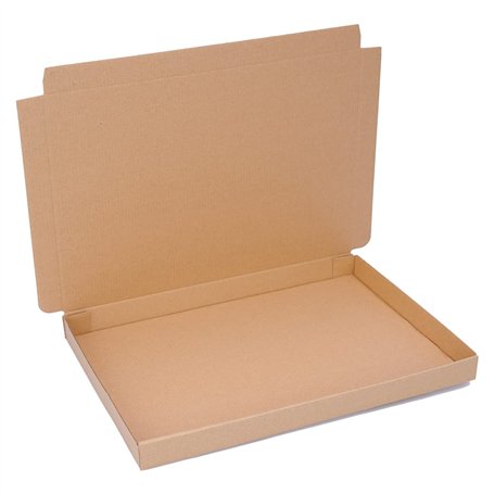 Emballage 50 cartons de marchandises WP XS 35 x 25 x 3 cm carton postal pour marchandises International XS approprié | format DI
