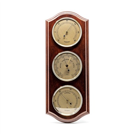 Fischer 9176-22 Station météo avec thermomètre