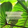 JULU Engrais Deluxe pour culture hydroponique pour plantes d'intérieur - Plus de 200 l d'eau d'arrosage - Engrais liquide - Plan