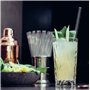 HALM pailles en verre 6x 30 cm de long pour Stanley Cup Quencher Tumbler & bouteilles jusqu'à 0,5 litre + brosse de nettoyage la