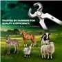 Pince à sabots pour animaux de ferme. Pinces à sabots robustes pour chevaux, bovins, chèvres, coupe-sabots en acier inoxydable –