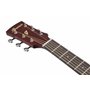 Ibanez Acoustic guitar / PF14JROPN Standard