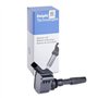 Delphi Technologies GN10631-12B1 Bobine D'Allumage