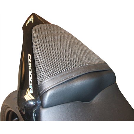 Triboseat Housse de siège Passager de Moto antidérapante Compatible avec Honda CB1000R (2008-2017)