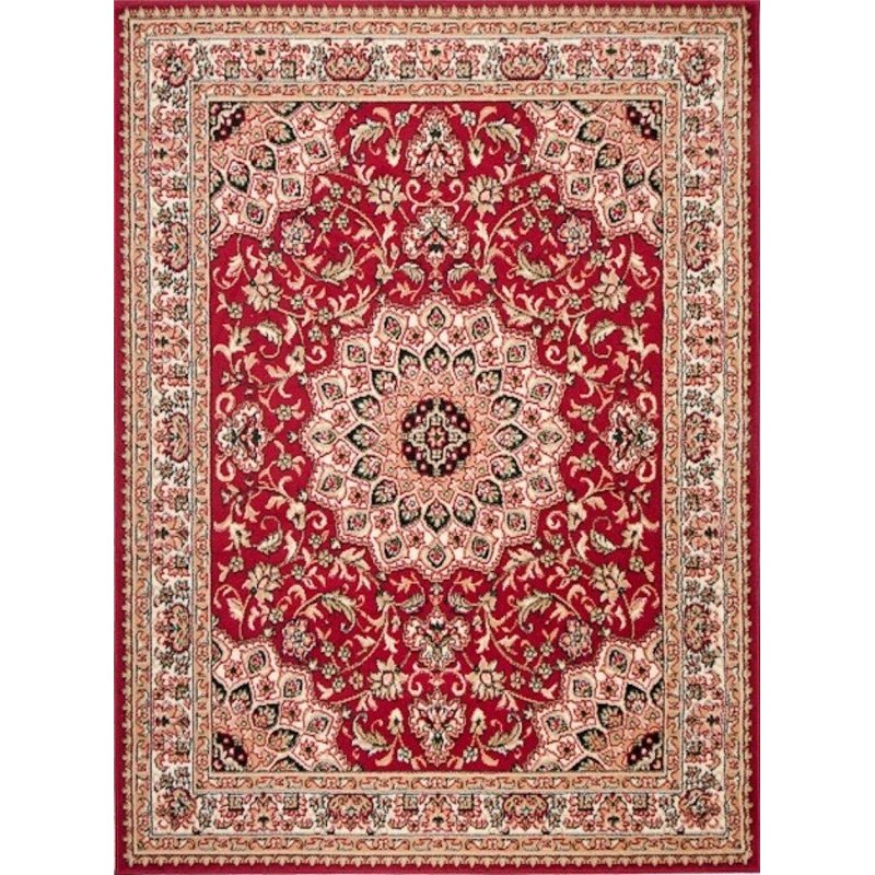 Mazovia Tapis Salon Moderne Oriental Motif - Tapis Grande Taille de Chambre à Poils Ras - Moquette Tapis pour Le Salon et la Cha